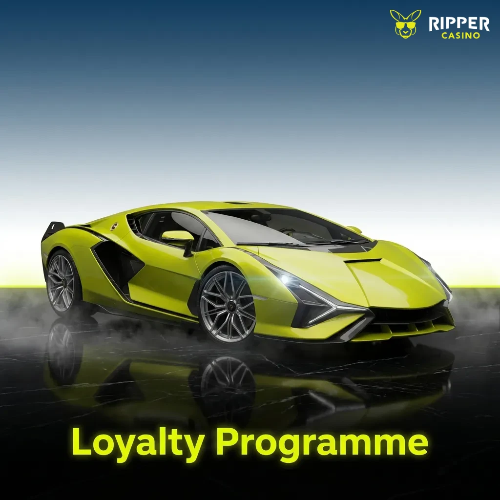 Tiered loyalty programme chart showing Bronze through Diamond levels with rewards and points requirements